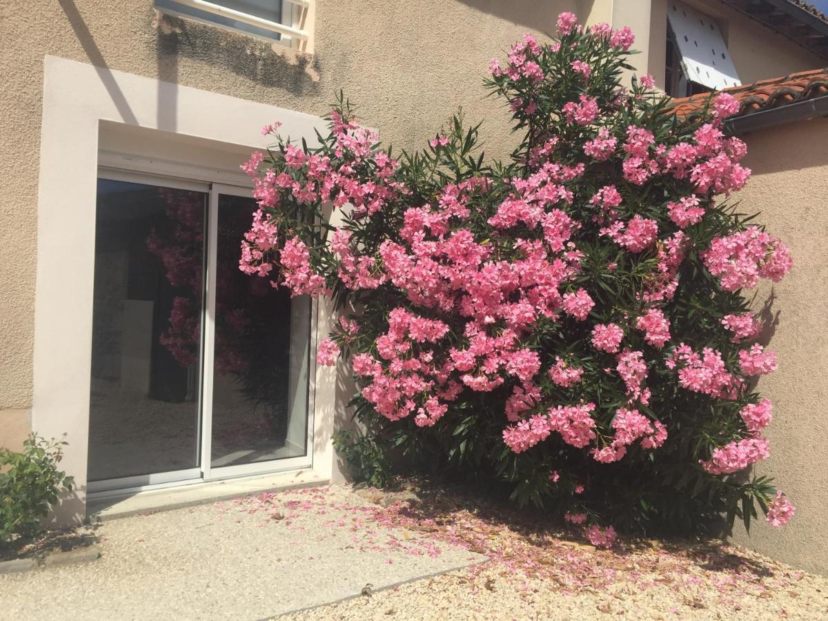 Gite De La Foye - Le Magnolia Combrand Ngoại thất bức ảnh